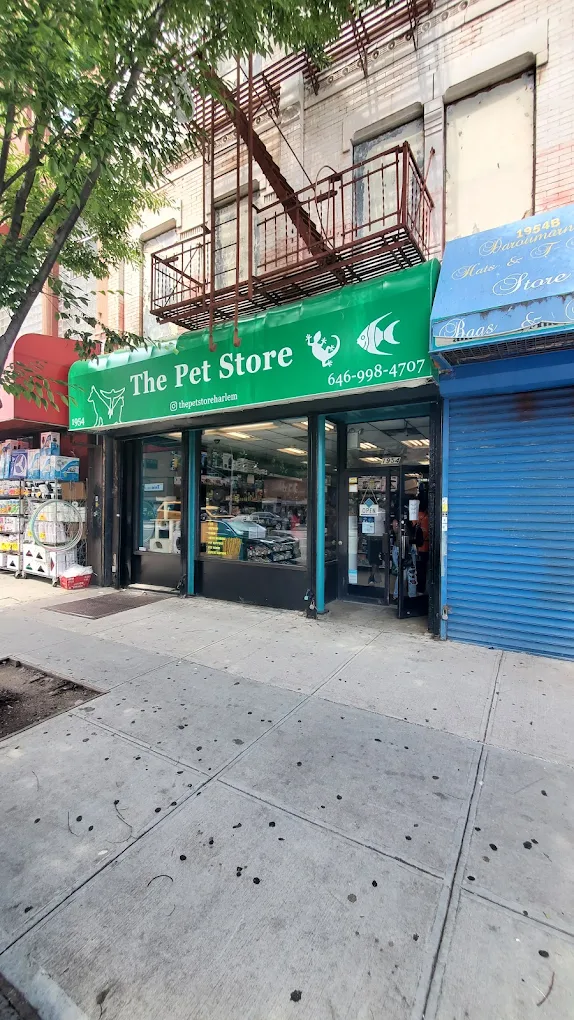 The green storefront of The Pet Store on 3rd Avenue in East Harlem